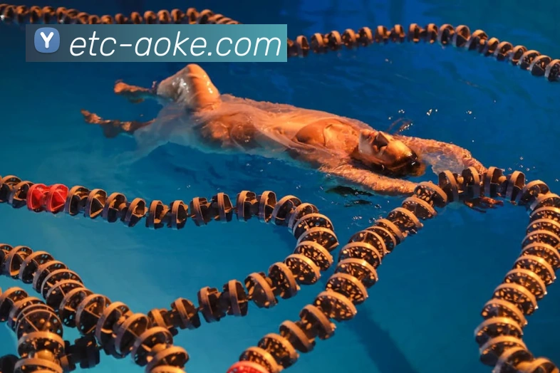 澳客平台生态图